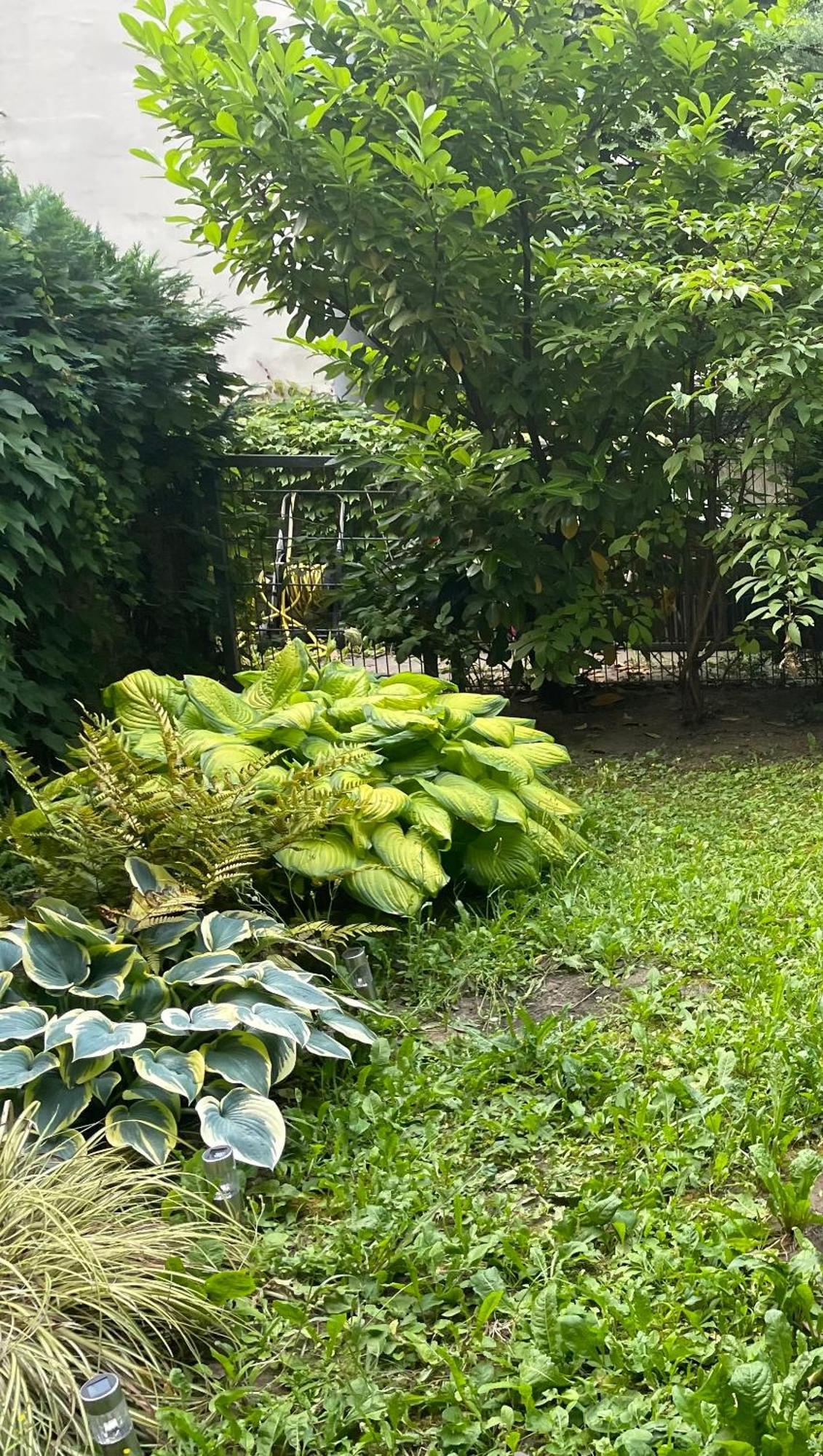 Apartment Mit Logia Und Kleinen Garten In Zentraler Lage 2 Vienna Exterior photo